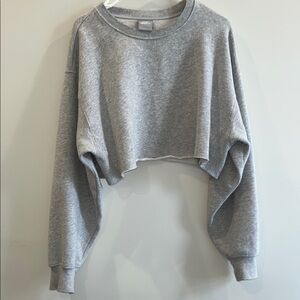 Gray Cropped Sweatshirt